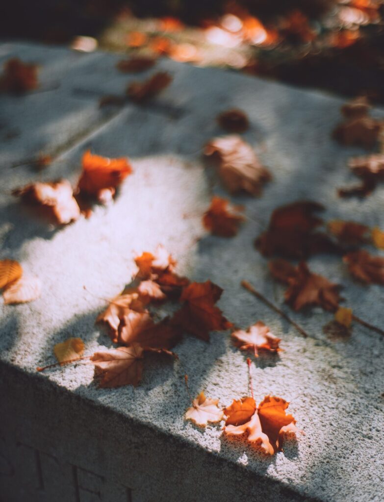 Leaves settling on a burial headstone