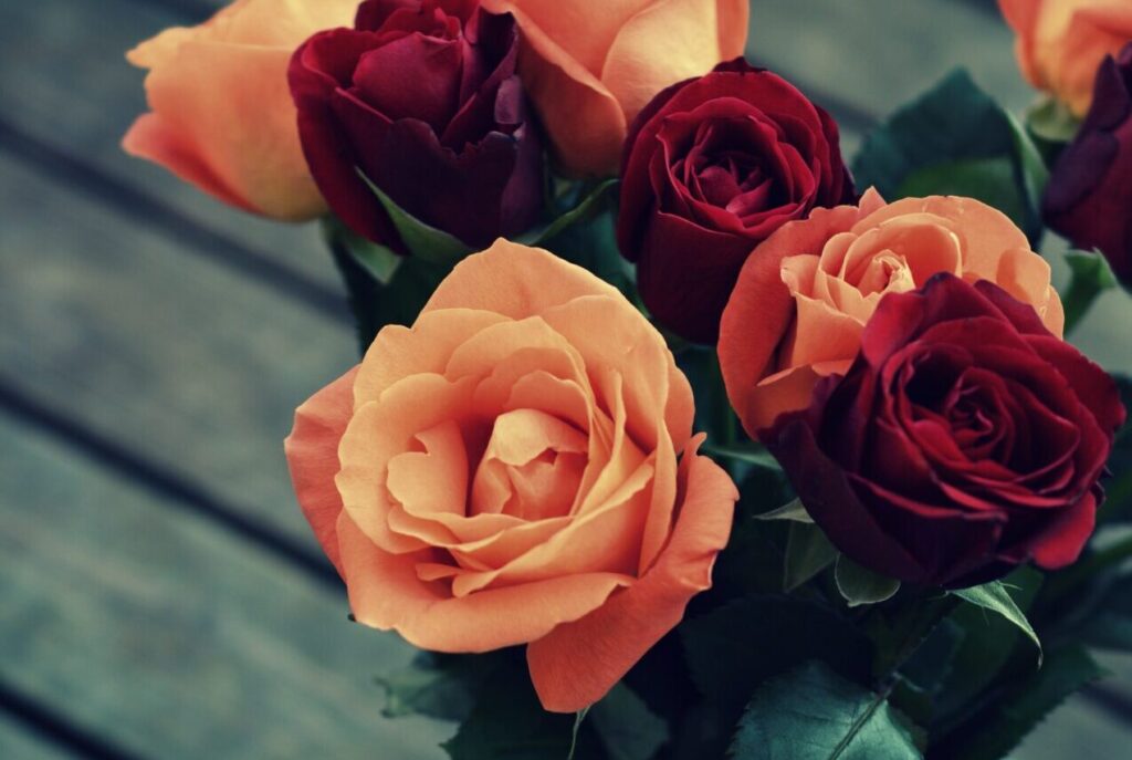Red and orange roses resting on a table